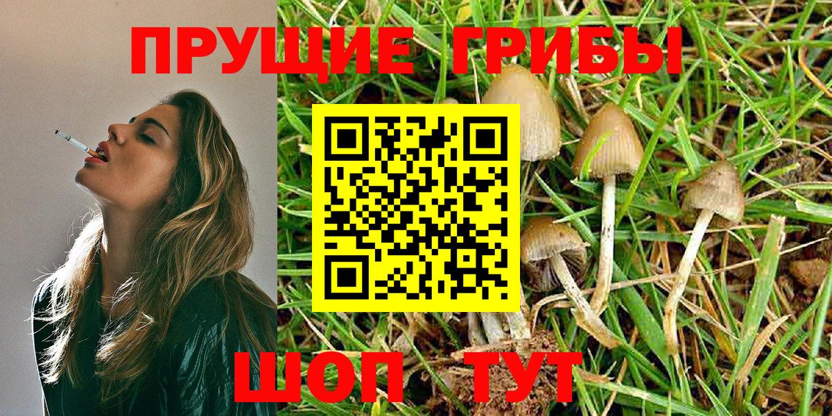 Галлюциногенные грибы ЛСД  Вход с VPN  Калуга 